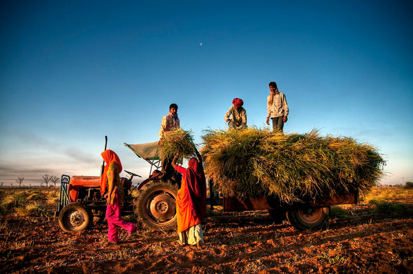 TTL Spotlight: What do the farmers protests in India have to do with Global Fashion?